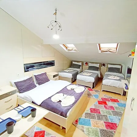 Taksim Center Luxury アパートホテル