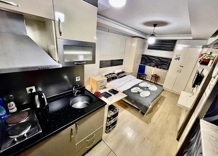公寓式酒店 Taksim Center Luxury 伊斯坦布尔