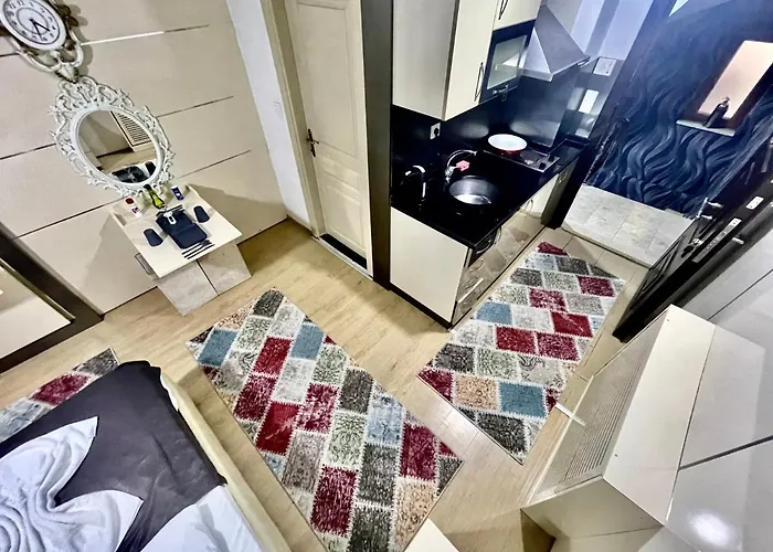 公寓式酒店 Taksim Center Luxury