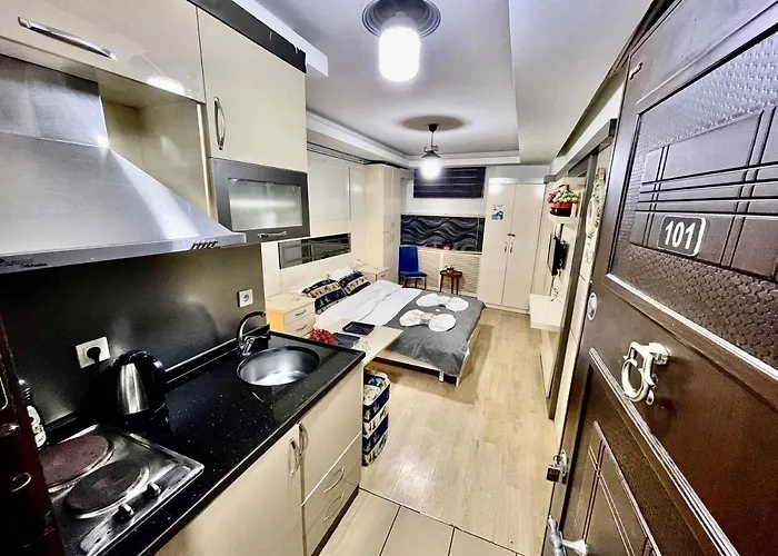 公寓式酒店 Taksim Center Luxury