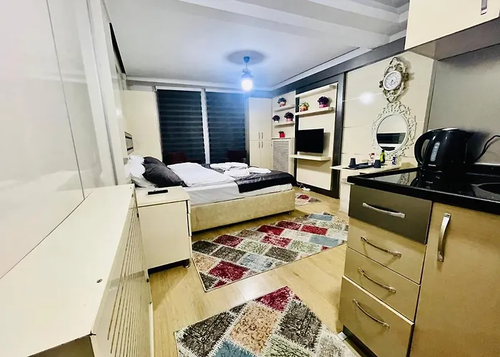 公寓式酒店 Taksim Center Luxury